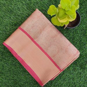 Banarasi Tissue Saree